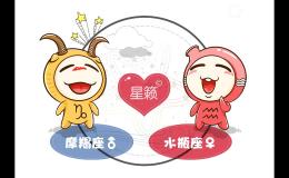金牛座和双鱼座星座的配对指数